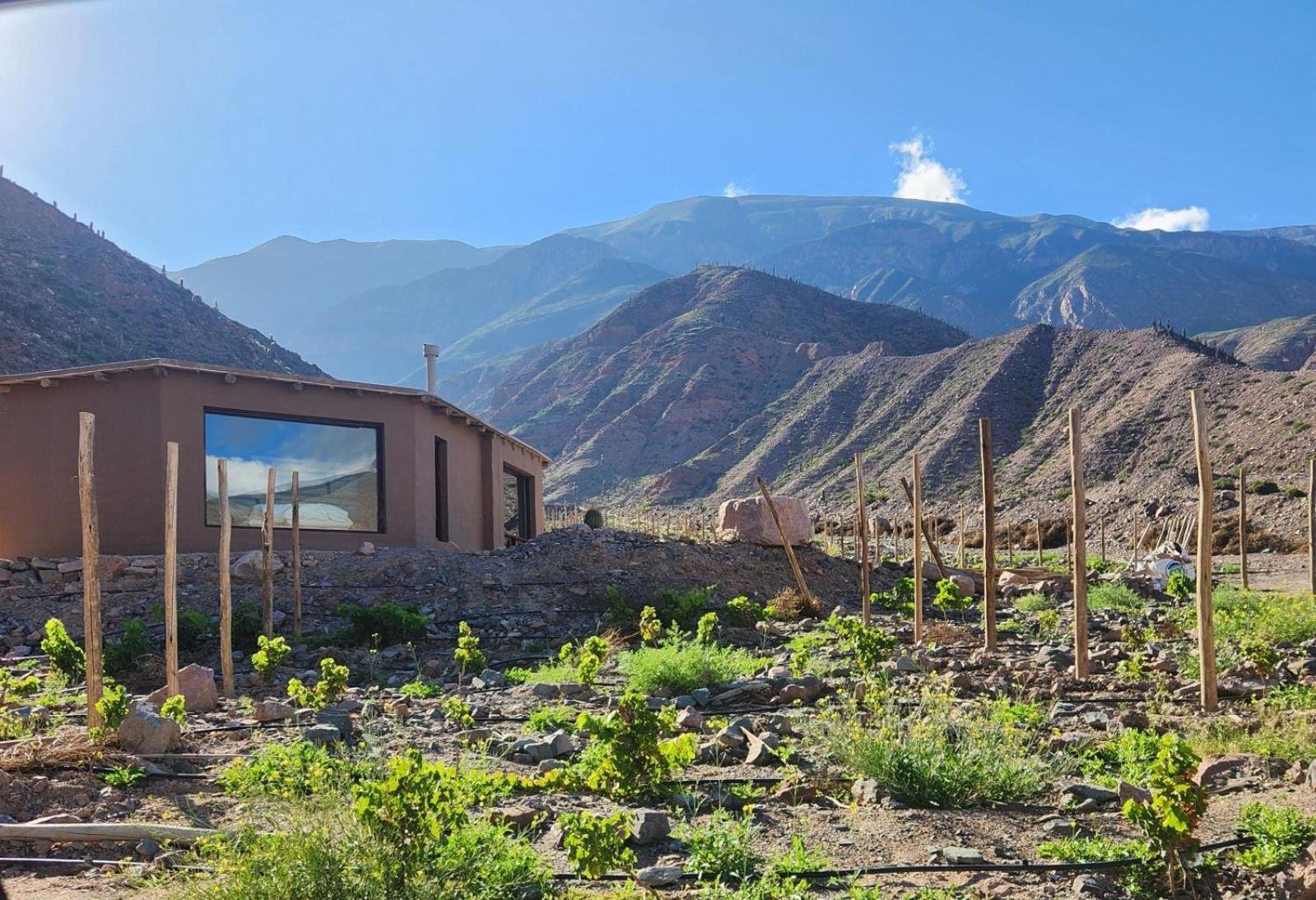 Historia de Bodega Kindgard